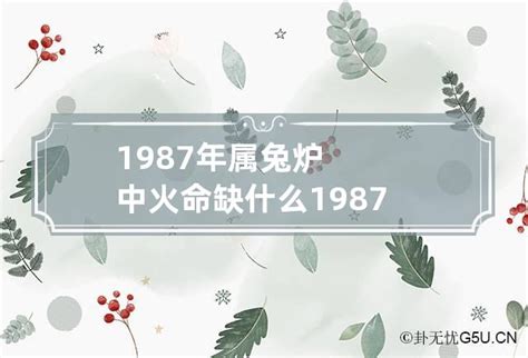 炉中火命兔|丁卯炉中火命理解析, 1987年属兔炉中火命